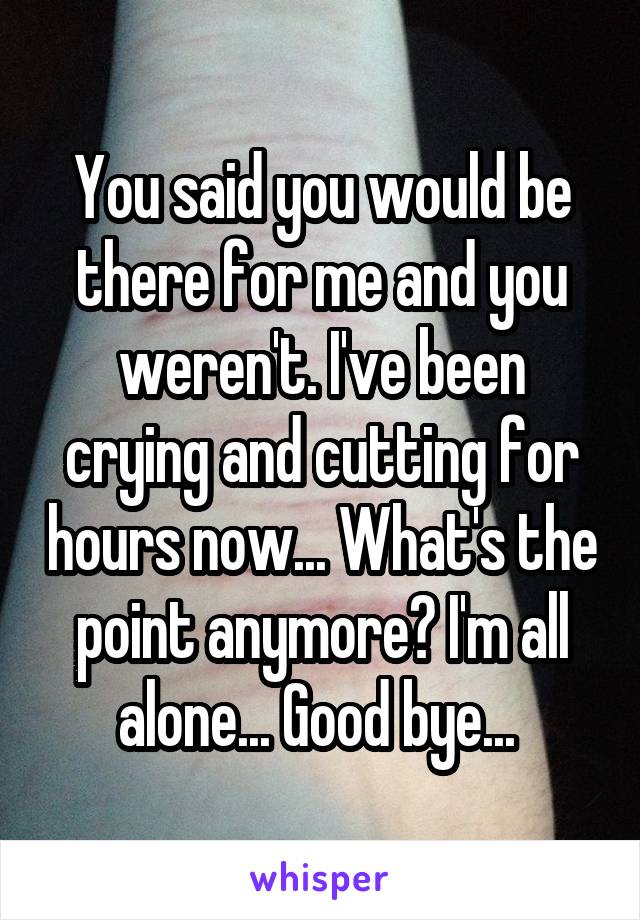 You said you would be there for me and you weren't. I've been crying and cutting for hours now... What's the point anymore? I'm all alone... Good bye... 