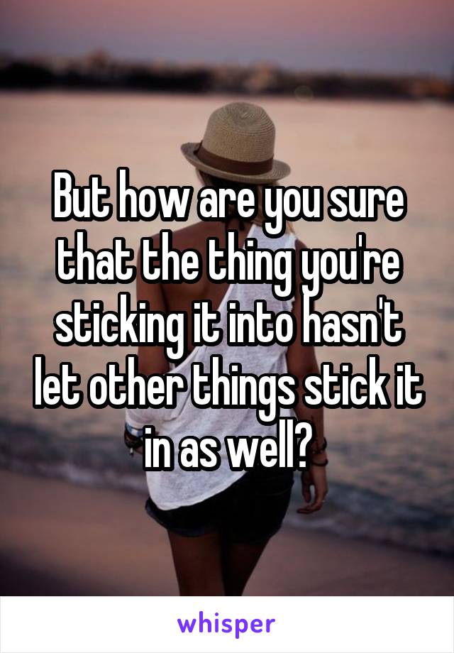 But how are you sure that the thing you're sticking it into hasn't let other things stick it in as well?