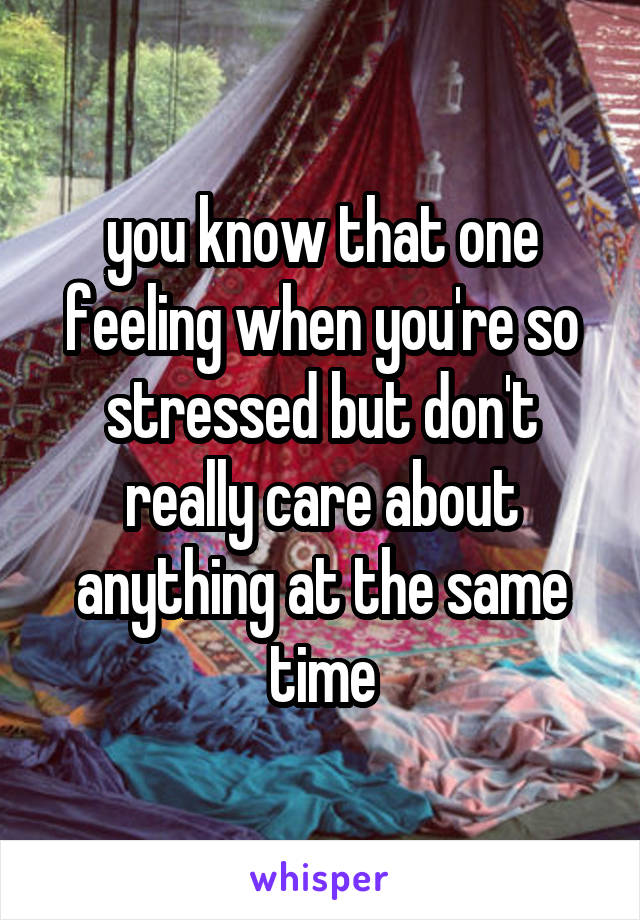 you know that one feeling when you're so stressed but don't really care about anything at the same time