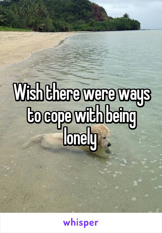 Wish there were ways to cope with being lonely 