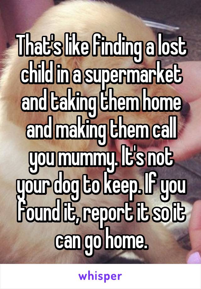 That's like finding a lost child in a supermarket and taking them home and making them call you mummy. It's not your dog to keep. If you found it, report it so it can go home.