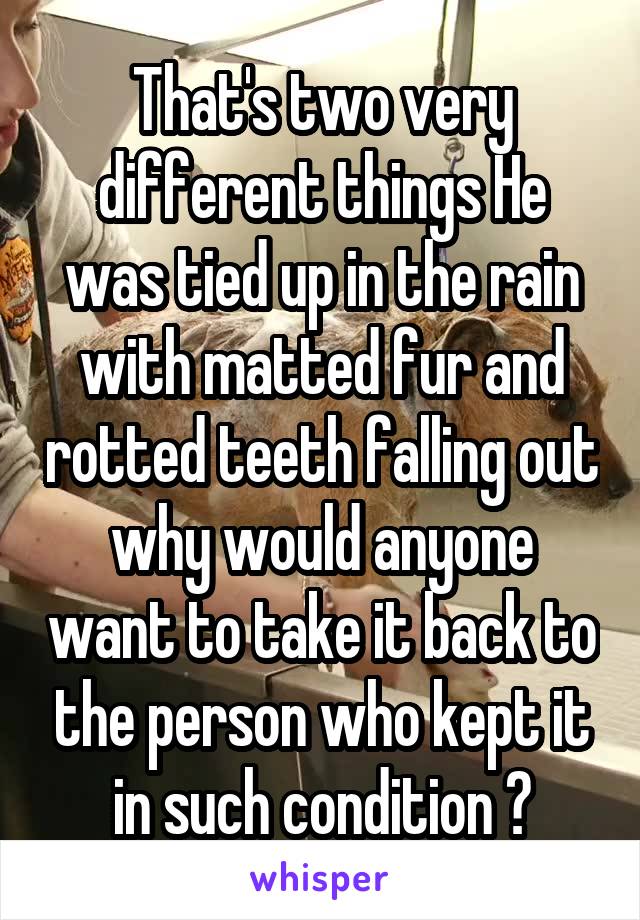 That's two very different things He was tied up in the rain with matted fur and rotted teeth falling out why would anyone want to take it back to the person who kept it in such condition ?