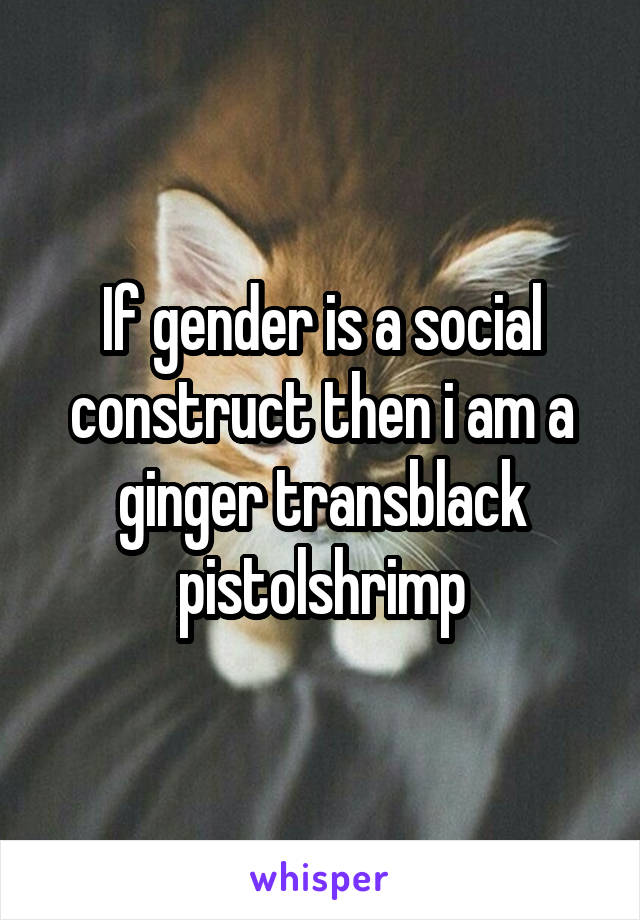 If gender is a social construct then i am a ginger transblack pistolshrimp