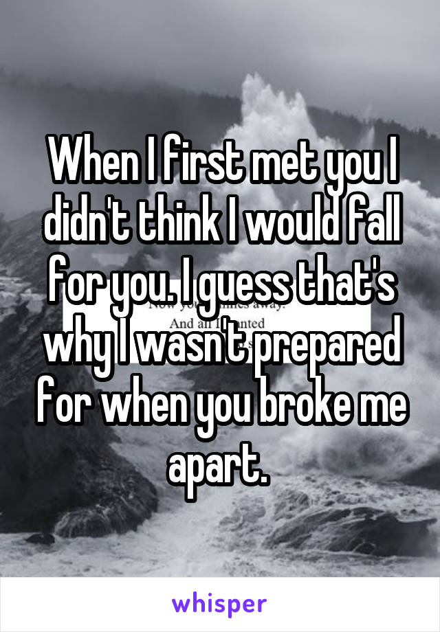 When I first met you I didn't think I would fall for you. I guess that's why I wasn't prepared for when you broke me apart. 