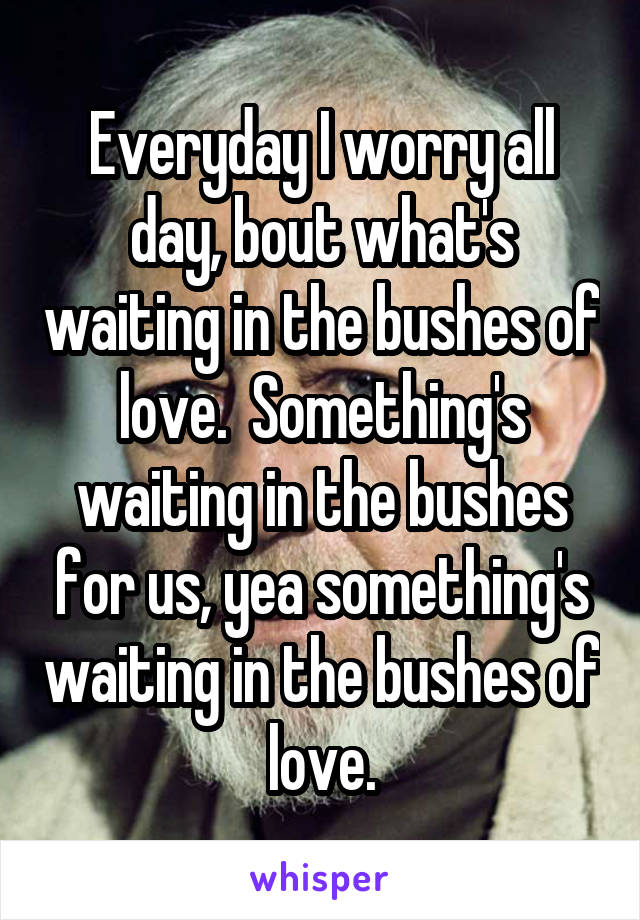 Everyday I worry all day, bout what's waiting in the bushes of love.  Something's waiting in the bushes for us, yea something's waiting in the bushes of love.