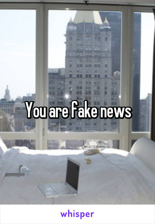 You are fake news