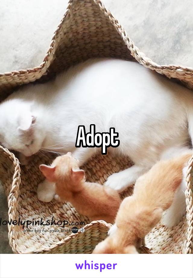 Adopt