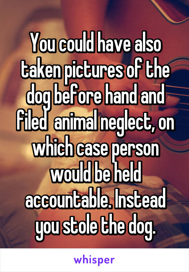 You could have also taken pictures of the dog before hand and filed  animal neglect, on which case person would be held accountable. Instead you stole the dog.