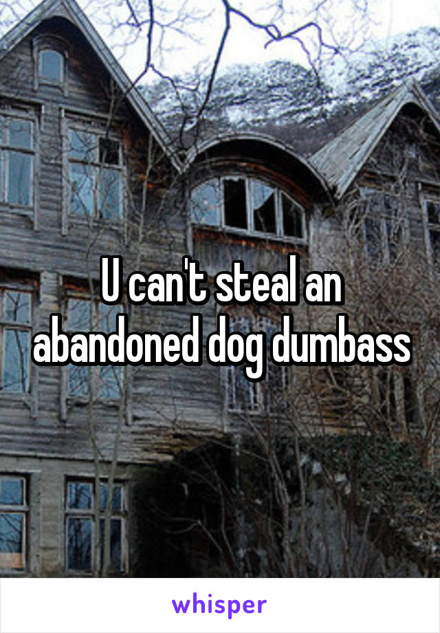 U can't steal an abandoned dog dumbass
