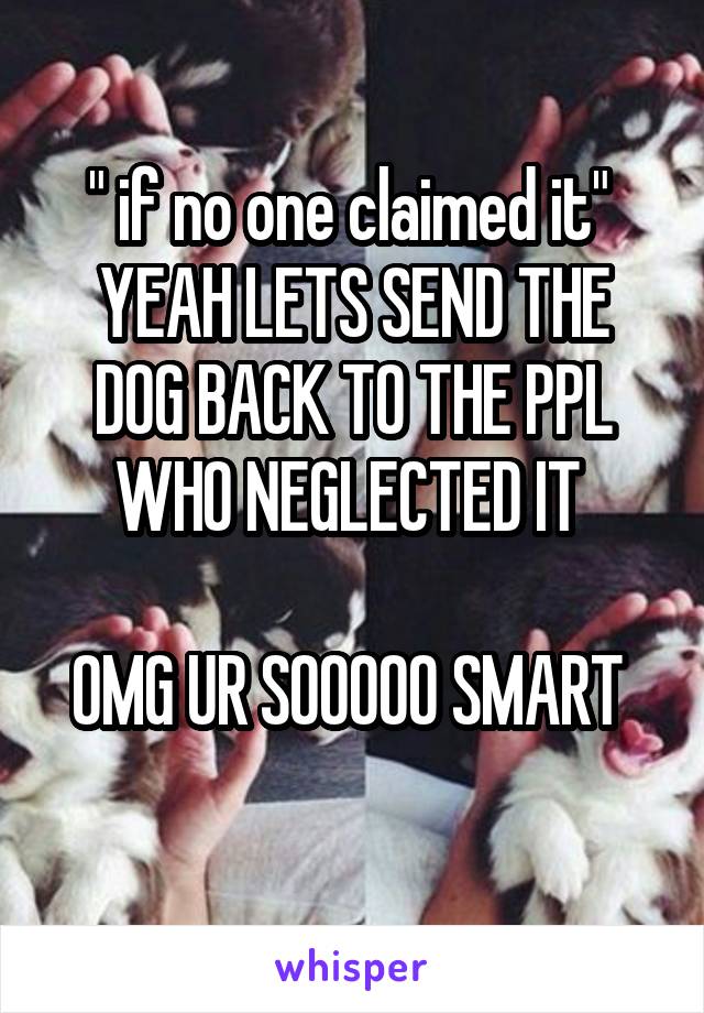 " if no one claimed it" 
YEAH LETS SEND THE DOG BACK TO THE PPL WHO NEGLECTED IT 

OMG UR SOOOOO SMART 
