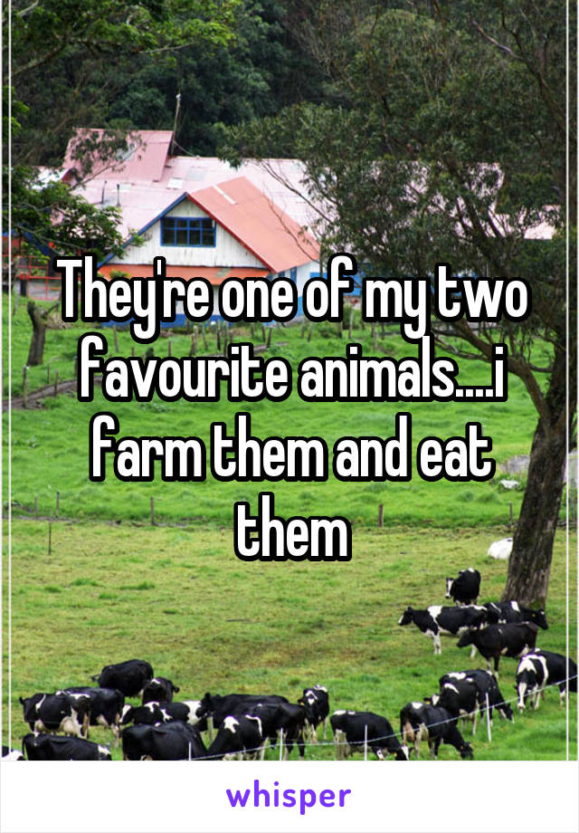 They're one of my two favourite animals....i farm them and eat them