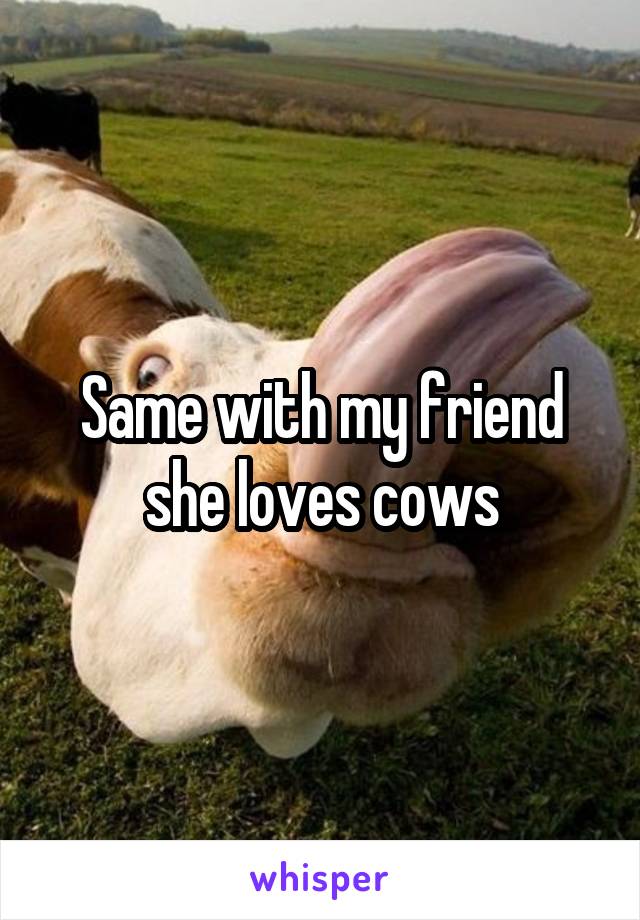 Same with my friend she loves cows
