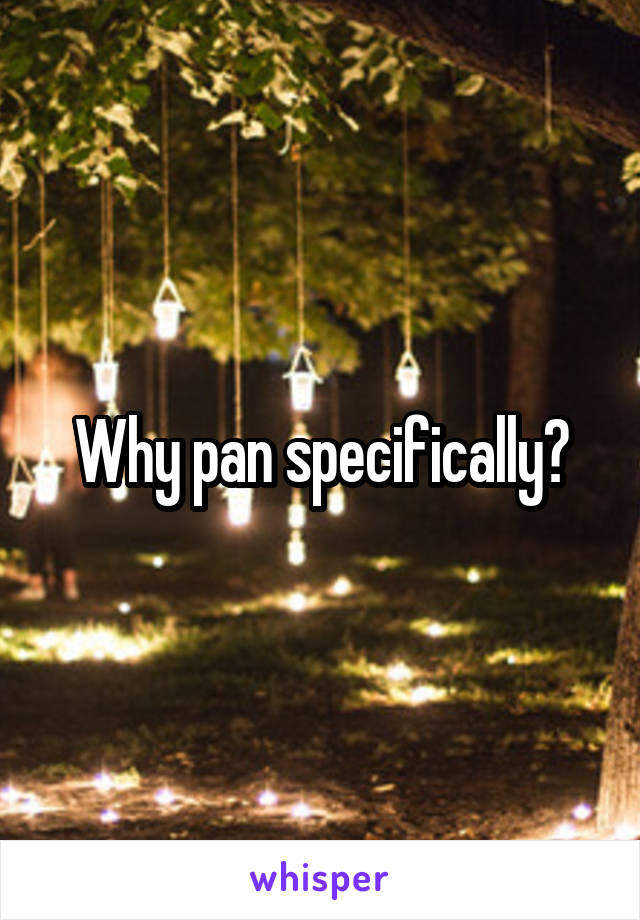 Why pan specifically?