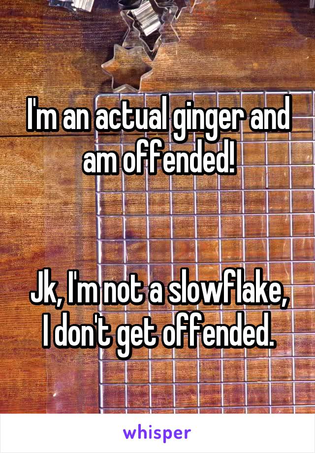 I'm an actual ginger and am offended!


Jk, I'm not a slowflake, I don't get offended.