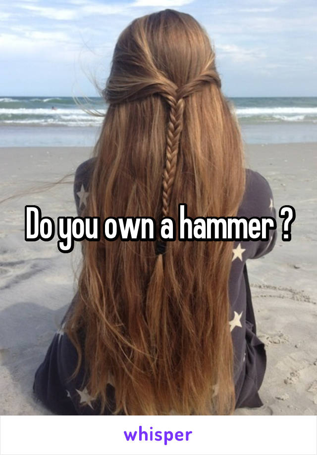 Do you own a hammer ?