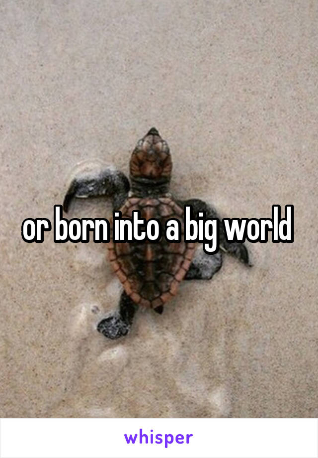 or born into a big world 