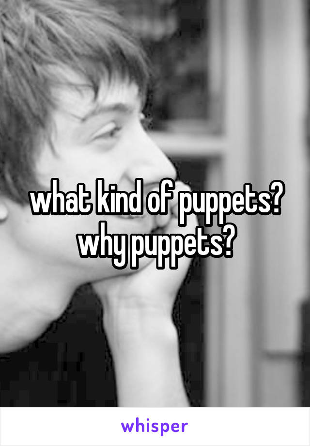 what kind of puppets? why puppets?