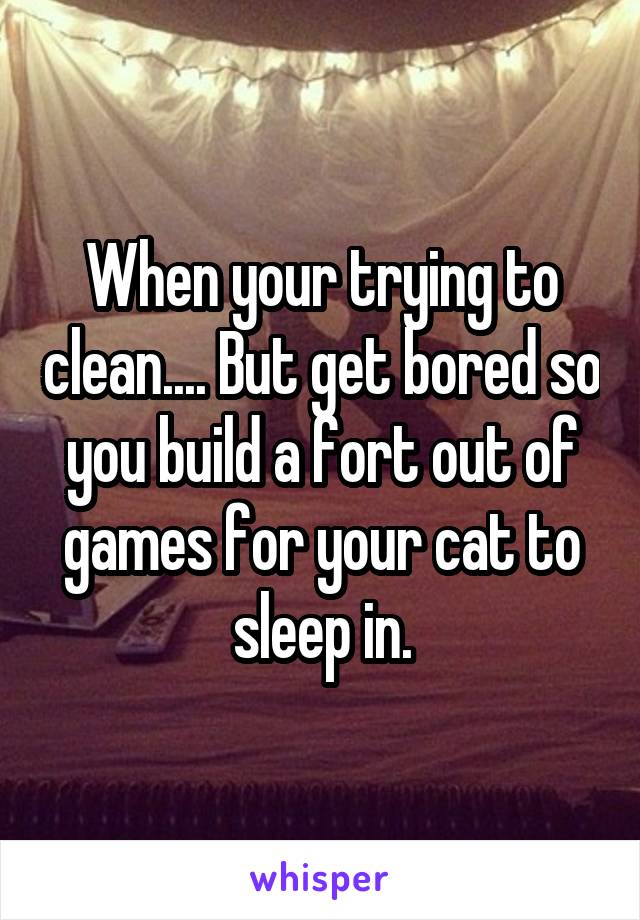 When your trying to clean.... But get bored so you build a fort out of games for your cat to sleep in.