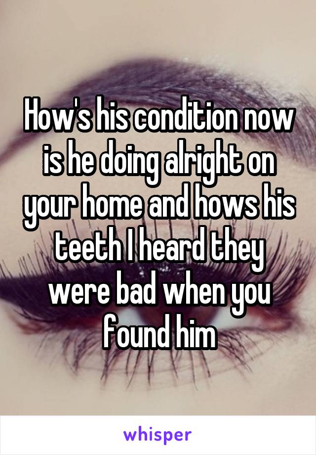 How's his condition now is he doing alright on your home and hows his teeth I heard they were bad when you found him