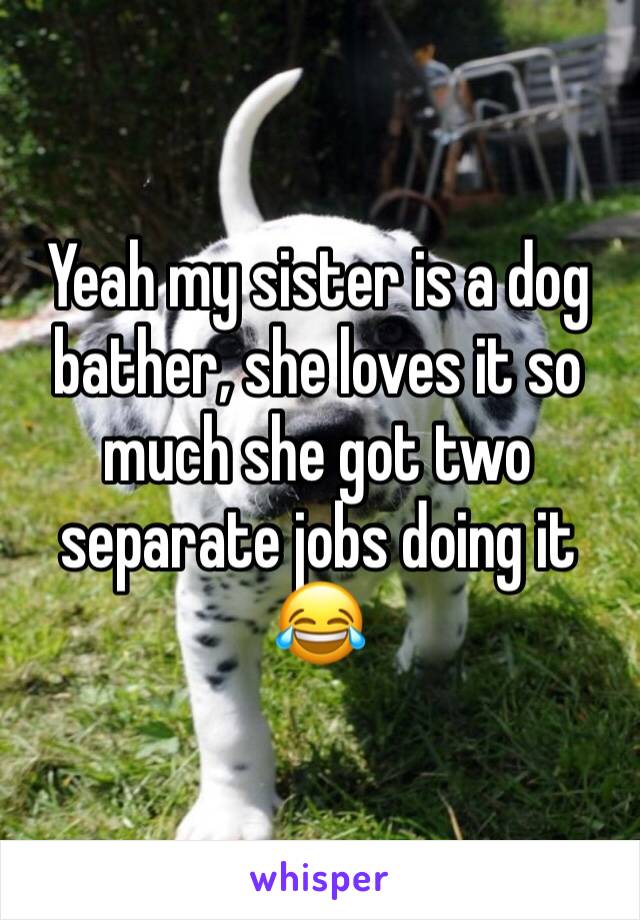 Yeah my sister is a dog bather, she loves it so much she got two separate jobs doing it 😂