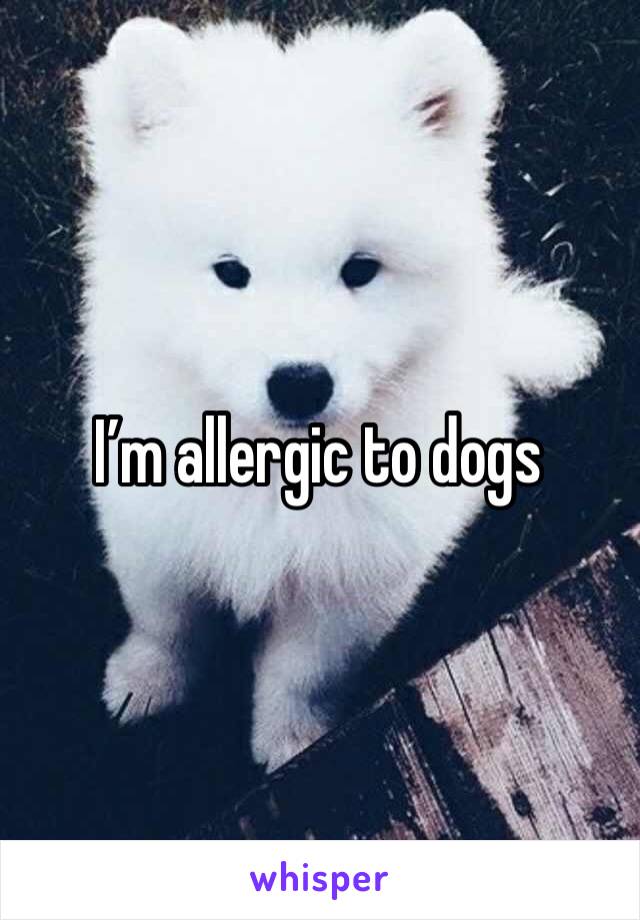 I’m allergic to dogs