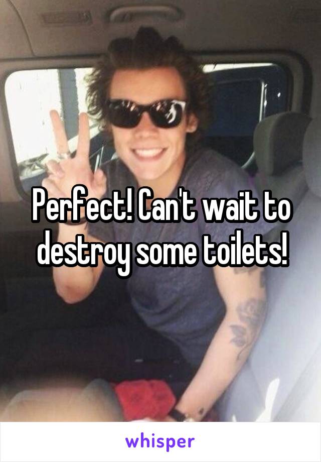 Perfect! Can't wait to destroy some toilets!