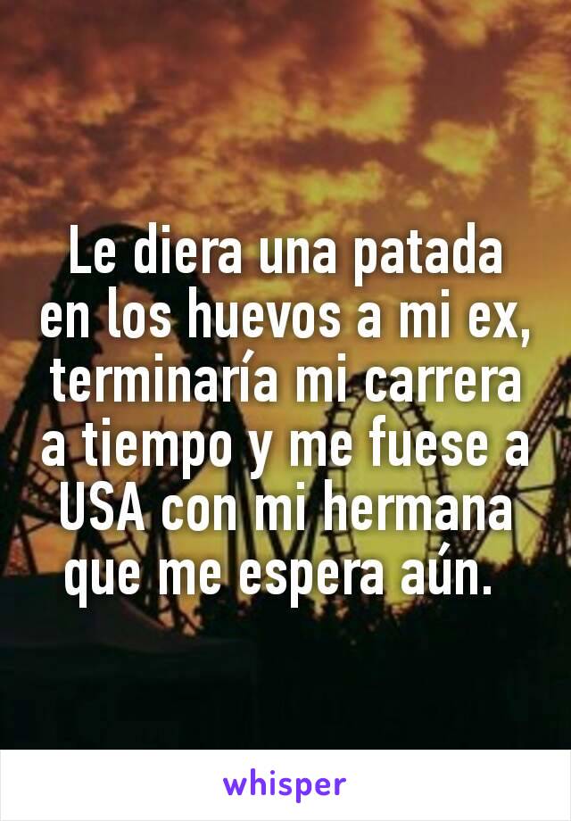 Le diera una patada en los huevos a mi ex, terminaría mi carrera a tiempo y me fuese a USA con mi hermana que me espera aún. 