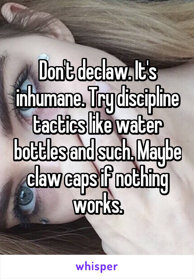 Don't declaw. It's inhumane. Try discipline tactics like water bottles and such. Maybe claw caps if nothing works.
