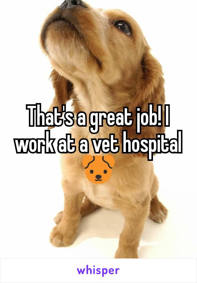 That's a great job! I work at a vet hospital 🐶