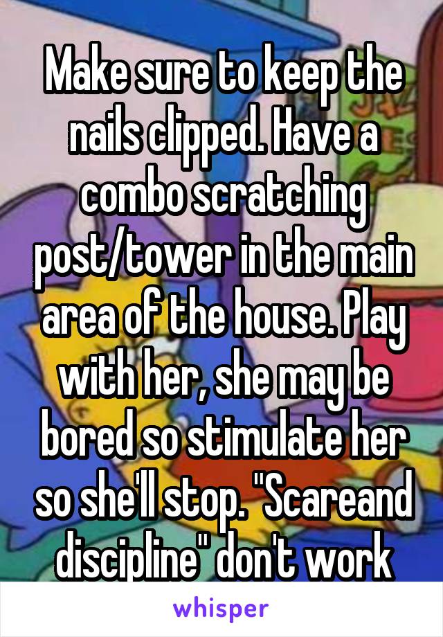 Make sure to keep the nails clipped. Have a combo scratching post/tower in the main area of the house. Play with her, she may be bored so stimulate her so she'll stop. "Scareand discipline" don't work