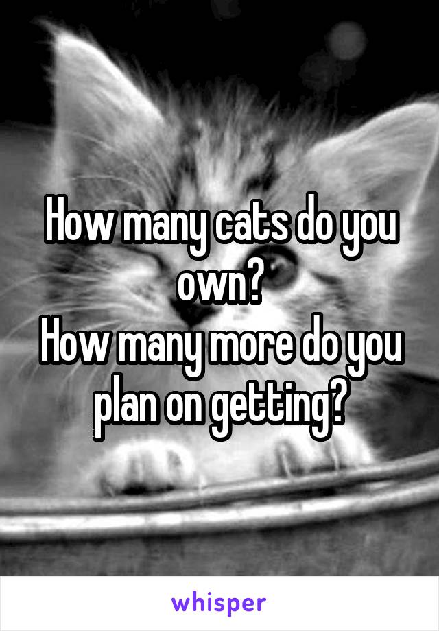 How many cats do you own?
How many more do you plan on getting?