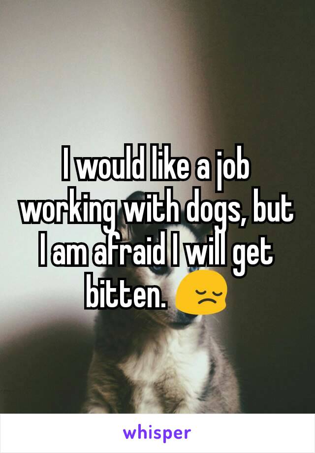 I would like a job working with dogs, but I am afraid I will get bitten. 😔