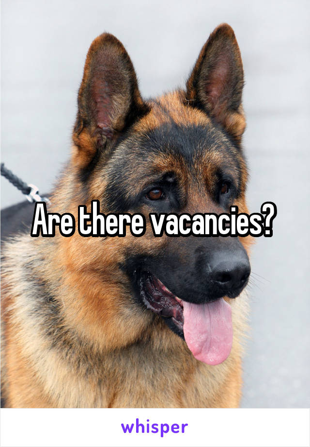 Are there vacancies? 