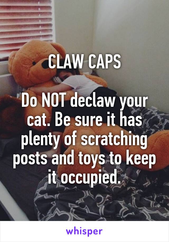 CLAW CAPS

Do NOT declaw your cat. Be sure it has plenty of scratching posts and toys to keep it occupied.