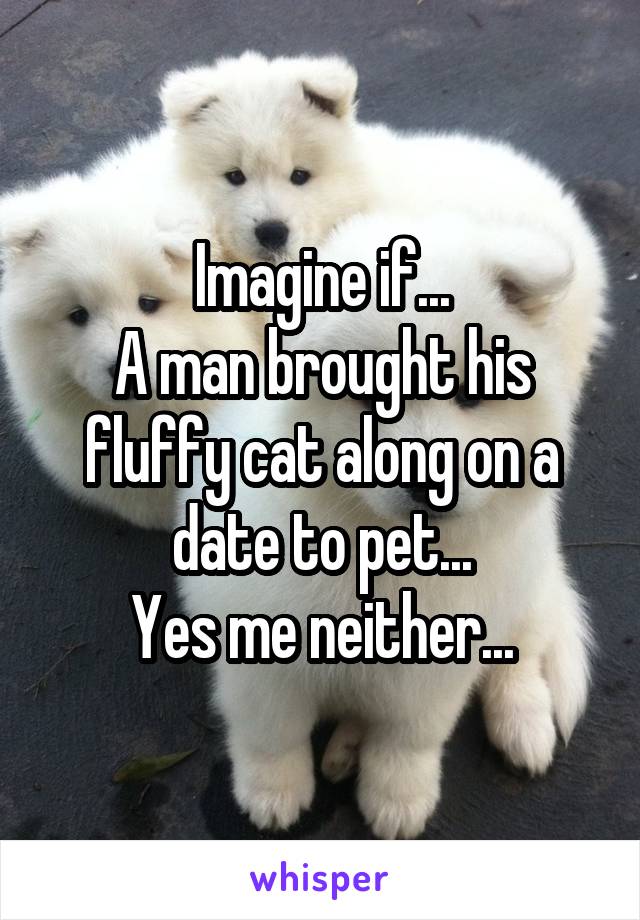 Imagine if...
A man brought his fluffy cat along on a date to pet...
Yes me neither...