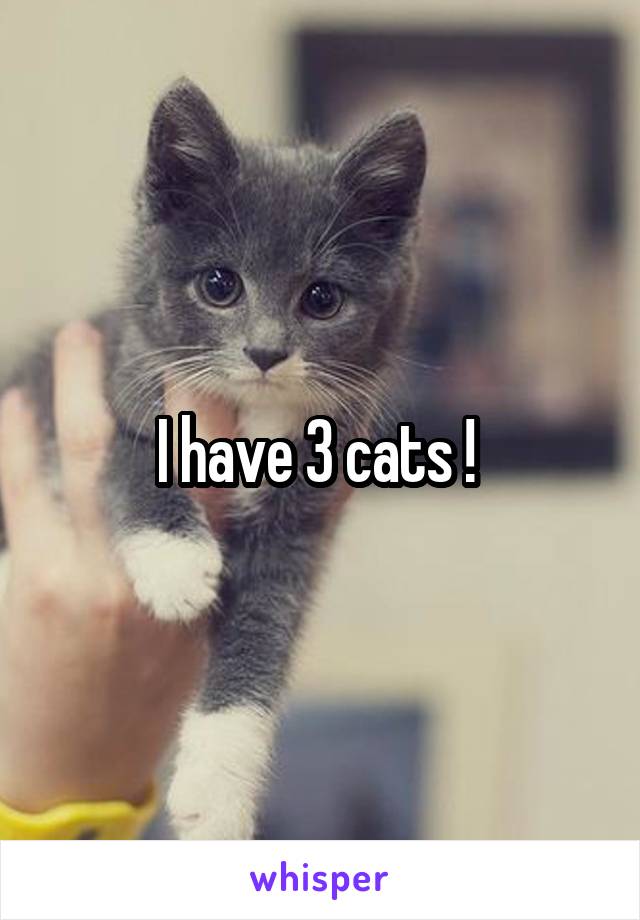 I have 3 cats ! 