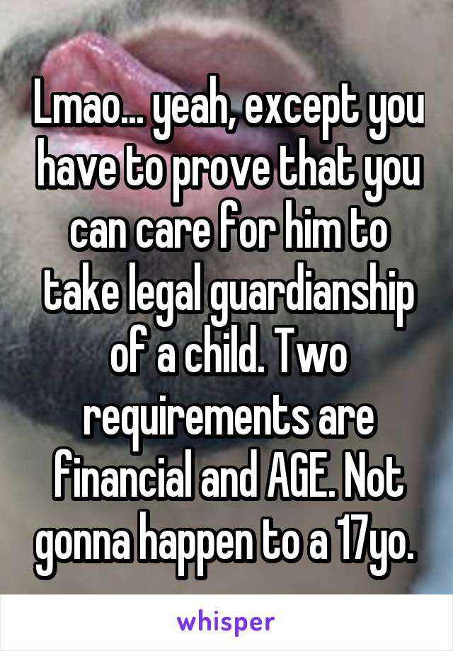 Lmao... yeah, except you have to prove that you can care for him to take legal guardianship of a child. Two requirements are financial and AGE. Not gonna happen to a 17yo. 