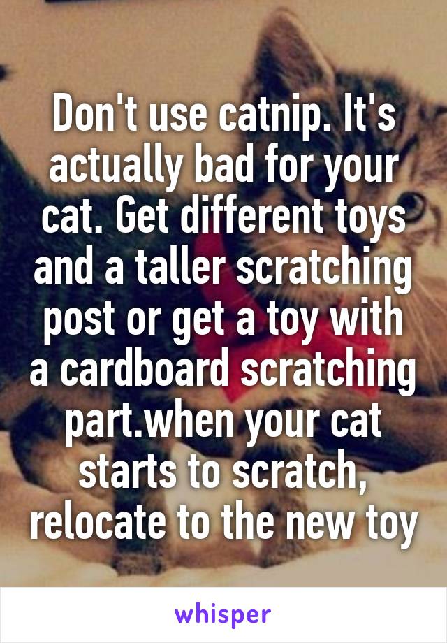 Don't use catnip. It's actually bad for your cat. Get different toys and a taller scratching post or get a toy with a cardboard scratching part.when your cat starts to scratch, relocate to the new toy