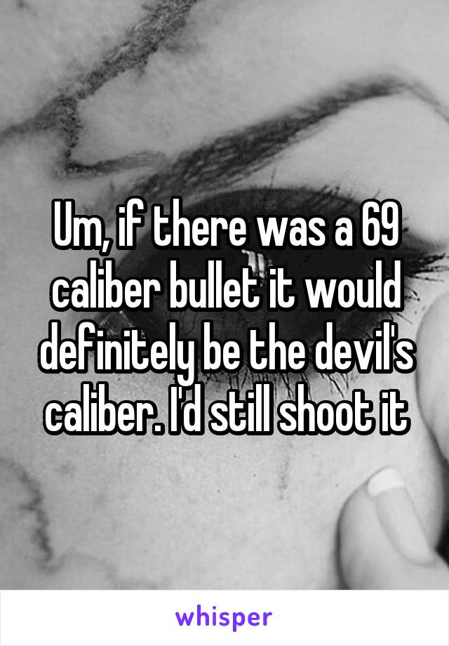 Um, if there was a 69 caliber bullet it would definitely be the devil's caliber. I'd still shoot it