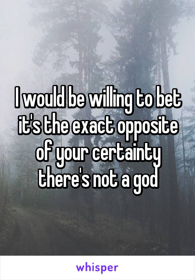 I would be willing to bet it's the exact opposite of your certainty there's not a god