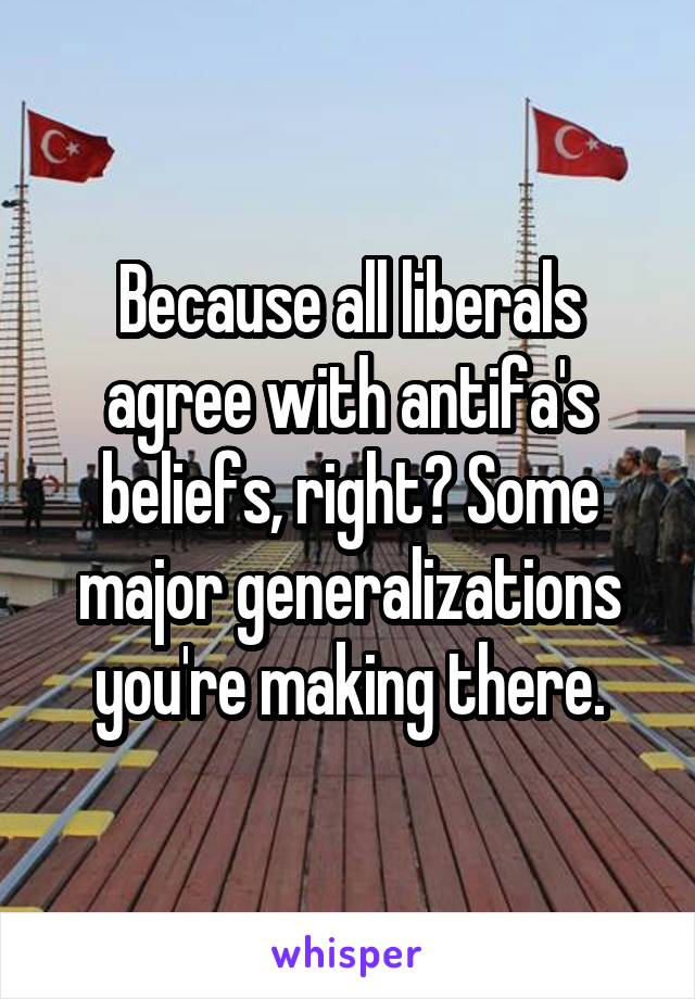 Because all liberals agree with antifa's beliefs, right? Some major generalizations you're making there.