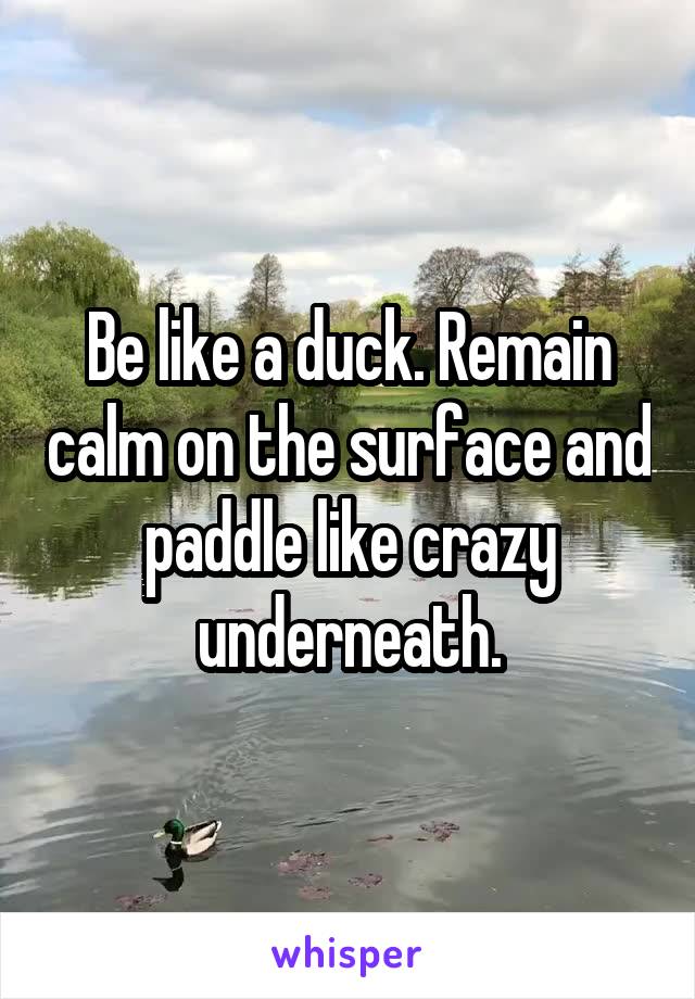Be like a duck. Remain calm on the surface and paddle like crazy underneath.