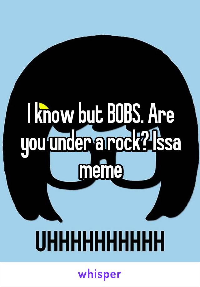I know but BOBS. Are you under a rock? Issa meme