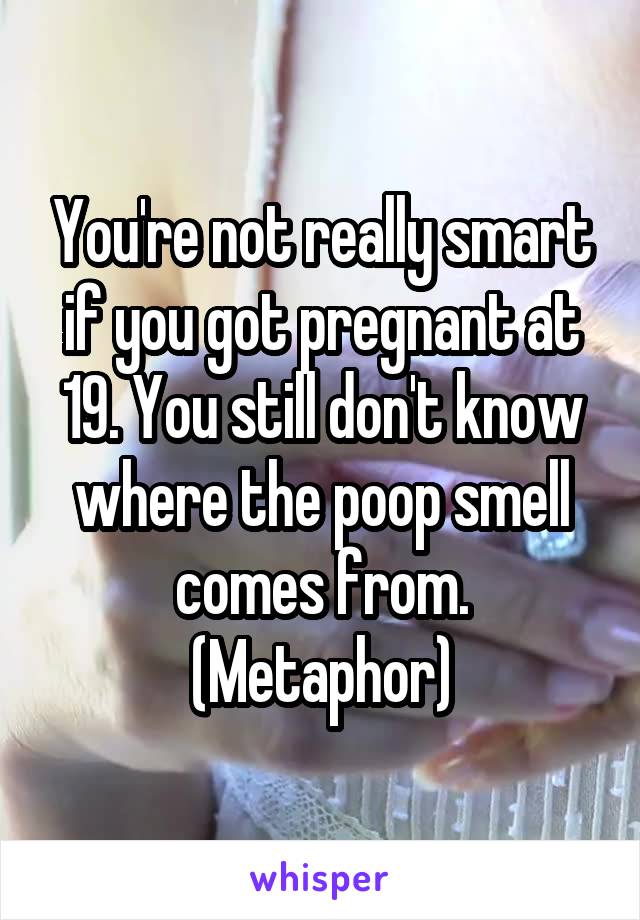 You're not really smart if you got pregnant at 19. You still don't know where the poop smell comes from. (Metaphor)