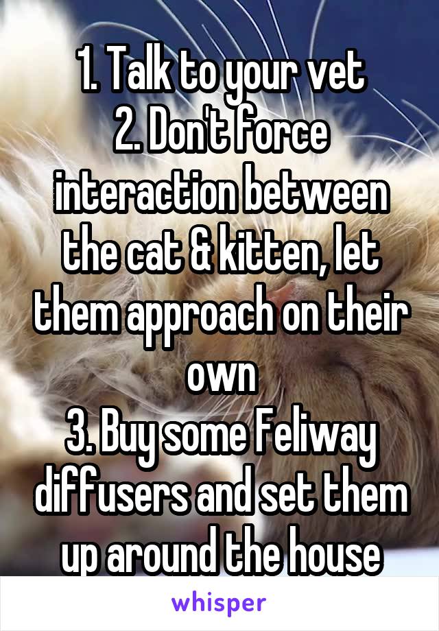 1. Talk to your vet
2. Don't force interaction between the cat & kitten, let them approach on their own
3. Buy some Feliway diffusers and set them up around the house