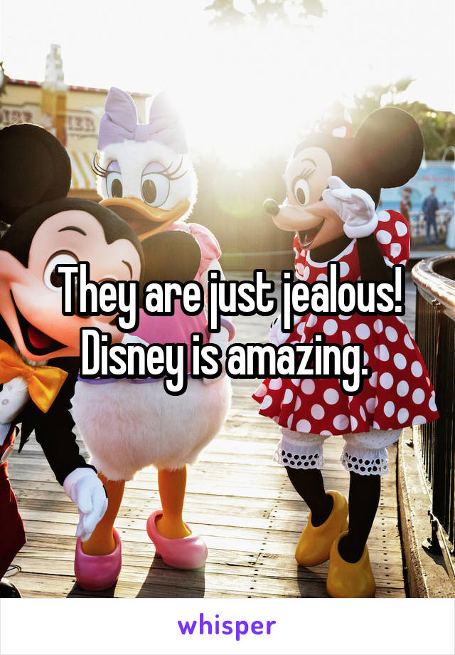 They are just jealous! Disney is amazing. 