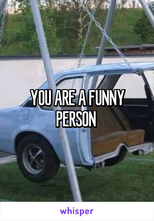 YOU ARE A FUNNY PERSON 