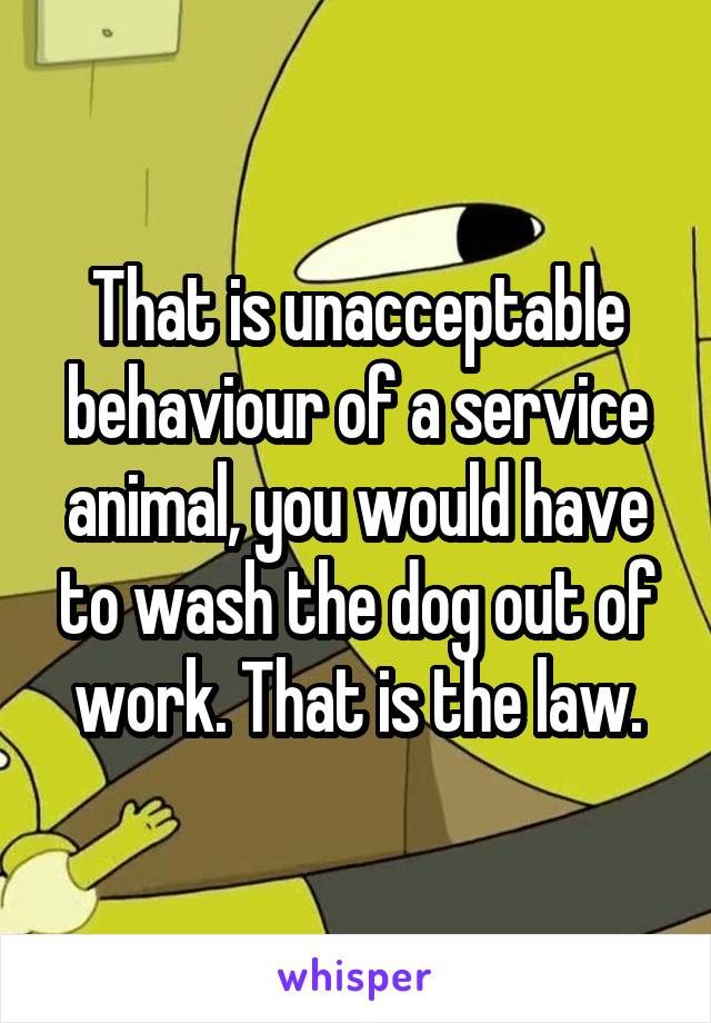 That is unacceptable behaviour of a service animal, you would have to wash the dog out of work. That is the law.