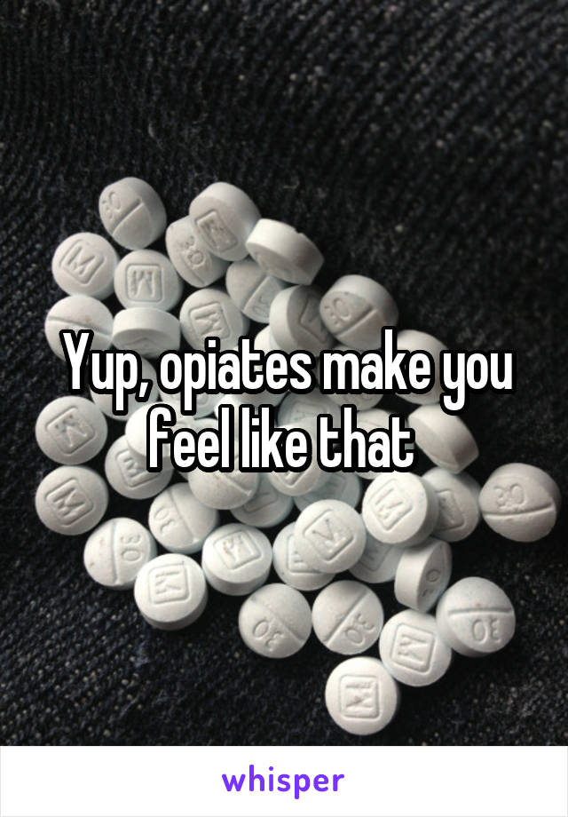 Yup, opiates make you feel like that 