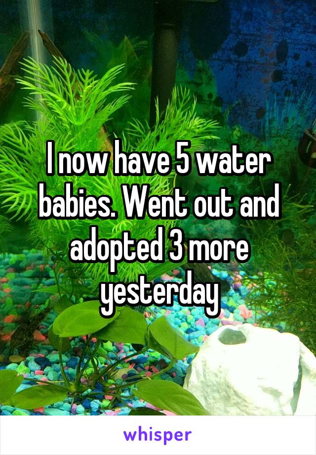 I now have 5 water babies. Went out and adopted 3 more yesterday